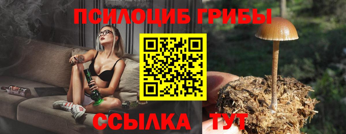 Псилоцибиновые грибы мухоморы  наркошоп  Камышин  Вход с VPN 